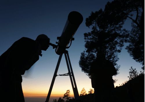 WhatsApp Image 2026-02-11 at 14.39.52