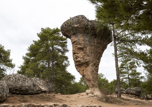 WhatsApp Image 2026-02-11 at 14.39.53(4)