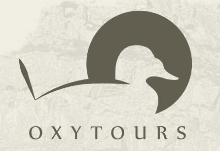 Captura-de-pantalla-2026-04-10-a-las-9.57.32