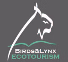 Lince-iberico-ecoturismo.jpg-1